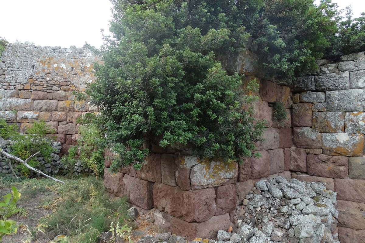 methana-019.JPG