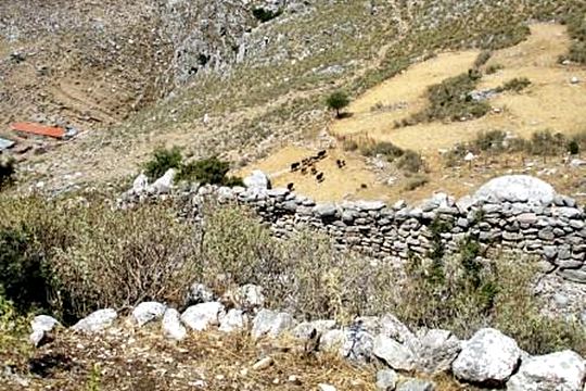 pics/oxia-wal.jpg north fortification