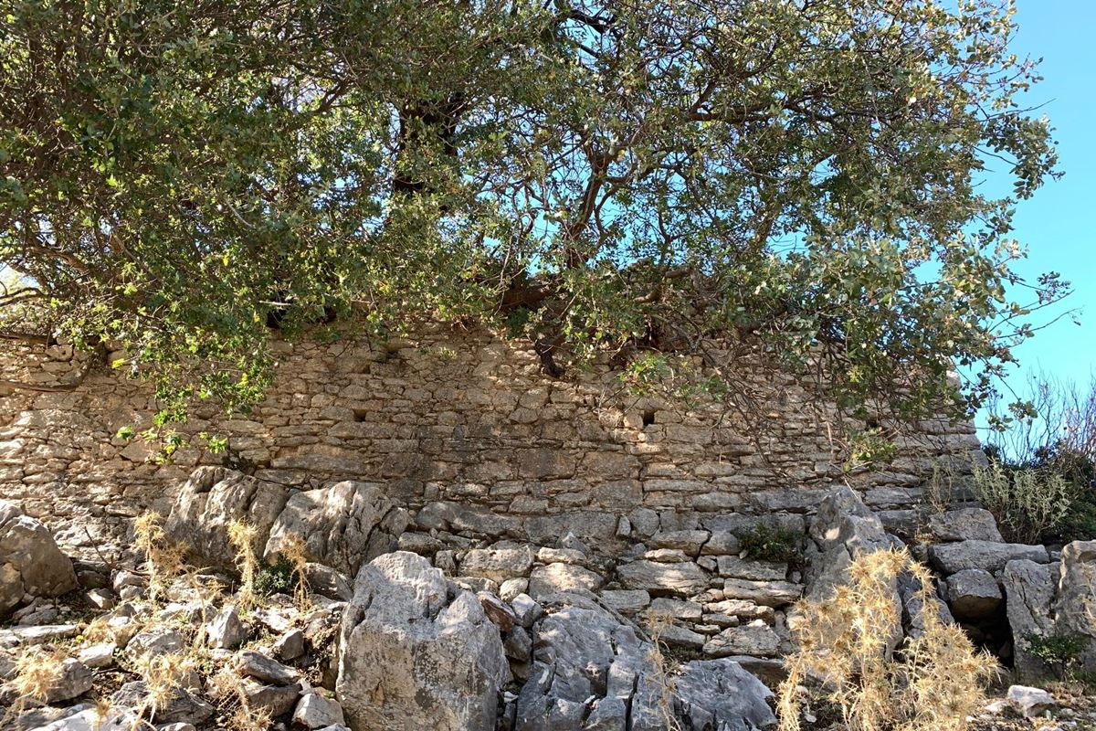 pics/oxia22.jpg oxia22