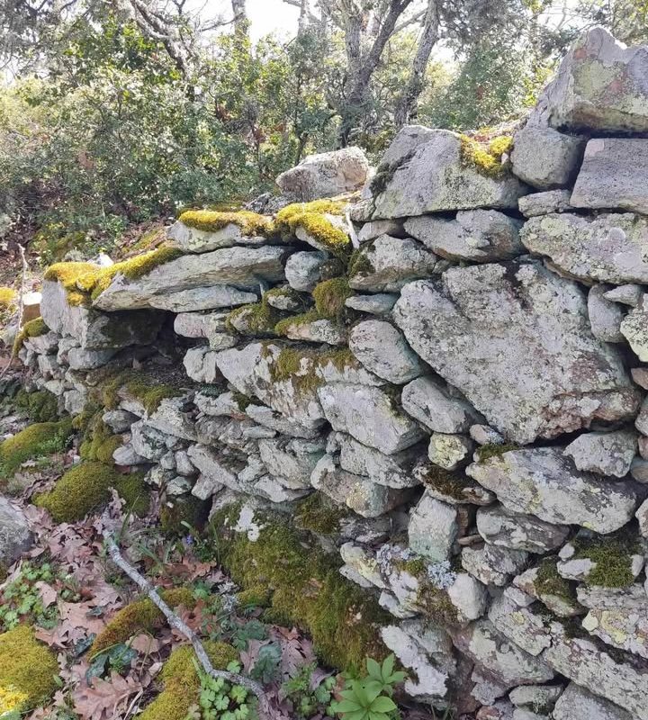 pics/palaik-xalkidik10.jpg palaik-xalkidik10