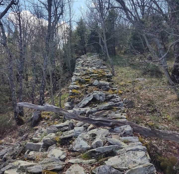 pics/palaik-xalkidik12.jpg palaik-xalkidik12