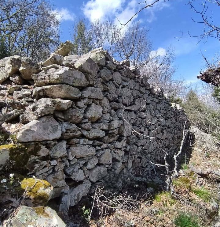 pics/palaik-xalkidik20.jpg palaik-xalkidik20