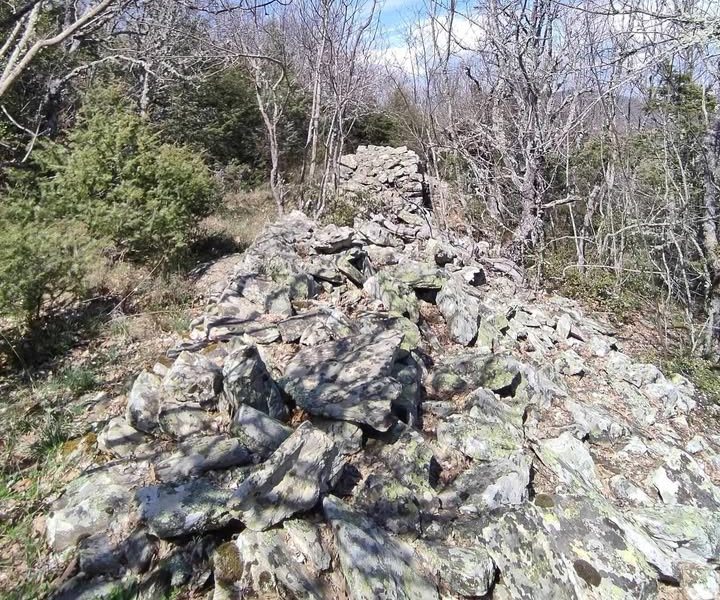 pics/palaik-xalkidik3.jpg palaik-xalkidik3