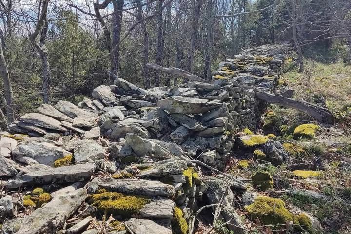 pics/palaik-xalkidik6.jpg palaik-xalkidik6