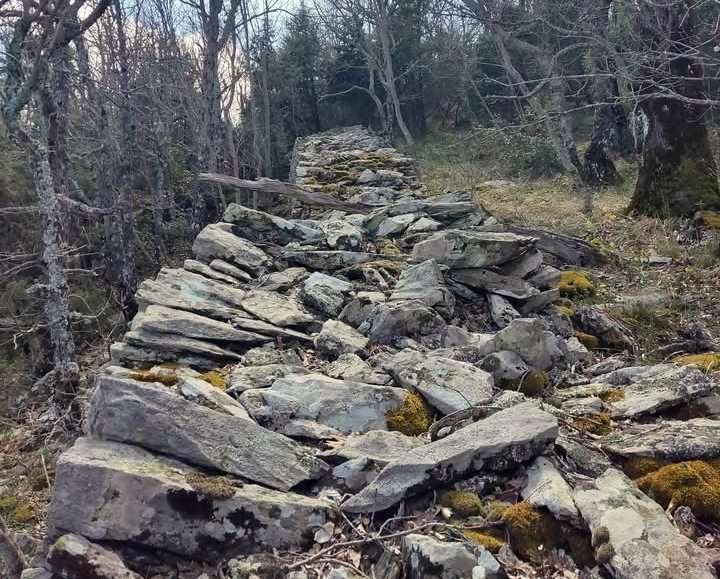 pics/palaik-xalkidik7.jpg palaik-xalkidik7