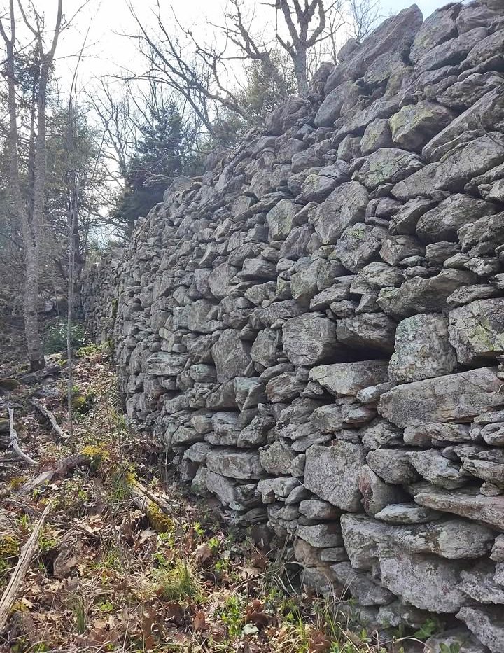 pics/palaik-xalkidik8.jpg palaik-xalkidik8