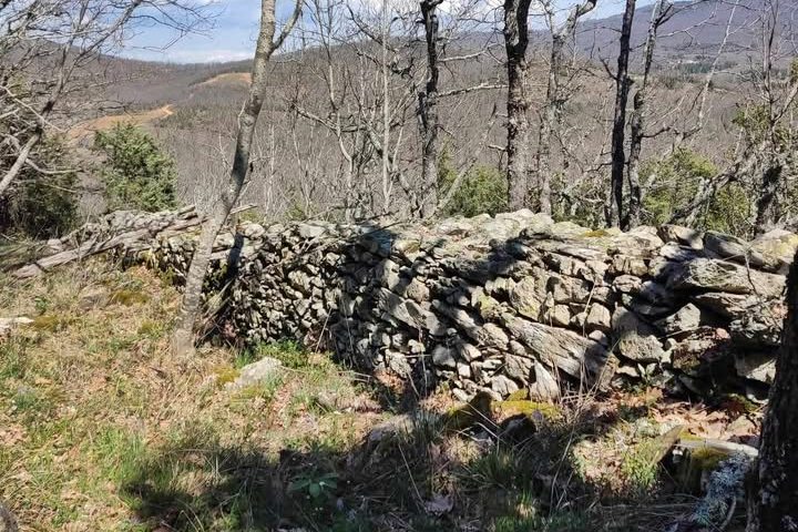 pics/palaik-xalkidik9.jpg palaik-xalkidik9