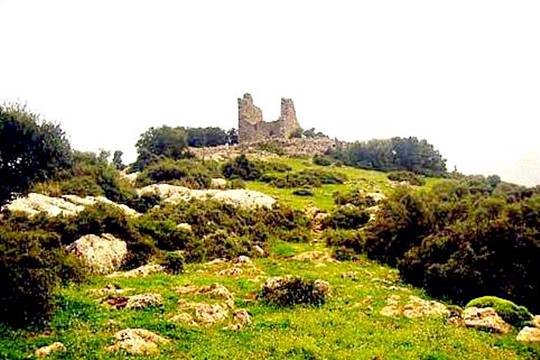 pics/paleopyrg_levid.jpg paleopyrg_levid