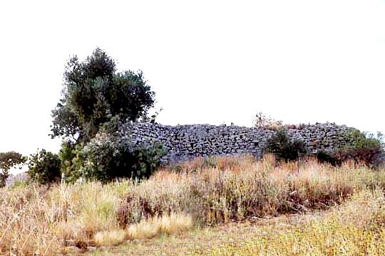 part of the medieval curtain wall