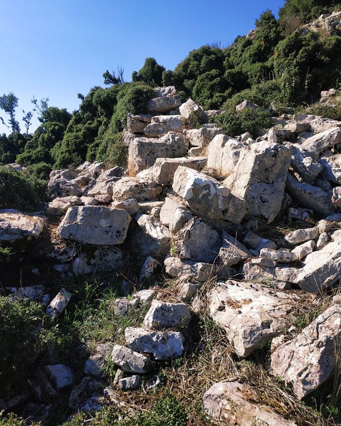 pics/pefko11.jpg settlement remains, Sakis Lemonakis, Nov 2019