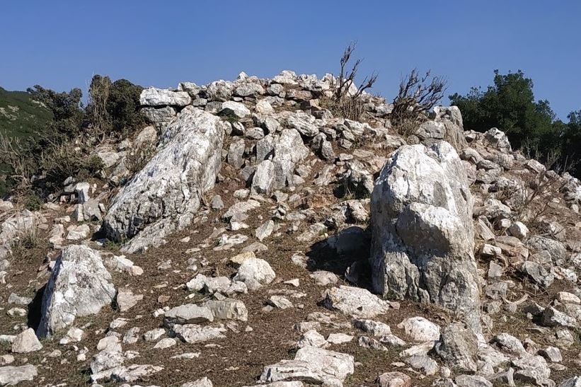 pics/pefko2.jpg central tower, Sakis Lemonakis, Nov 2019
