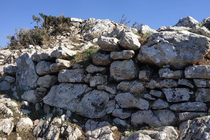 pics/pefko4.jpg western wall, Sakis Lemonakis, Nov 2019