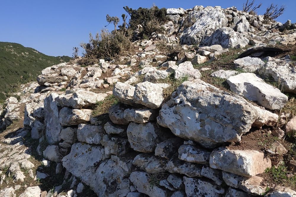pics/pefko5.jpg western wall, Sakis Lemonakis, Nov 2019