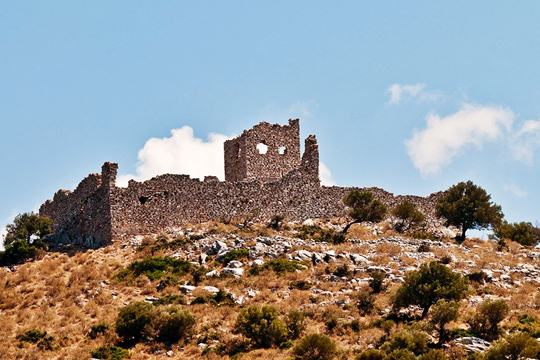 Ριζόκαστρο