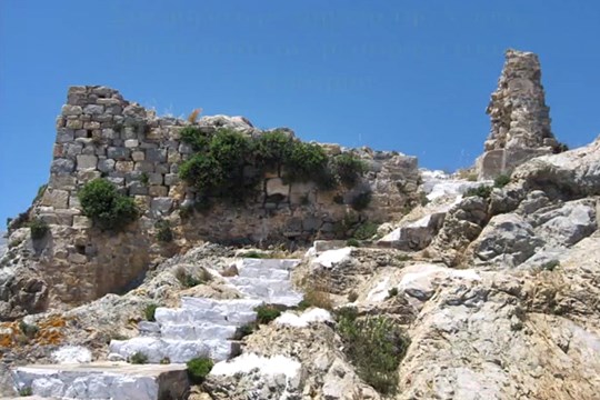 serifo8