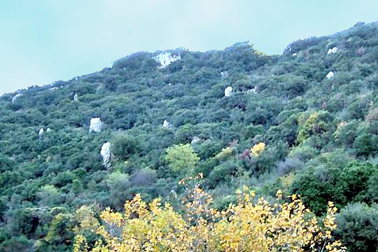Παλαιόκαστρο Σέρβου