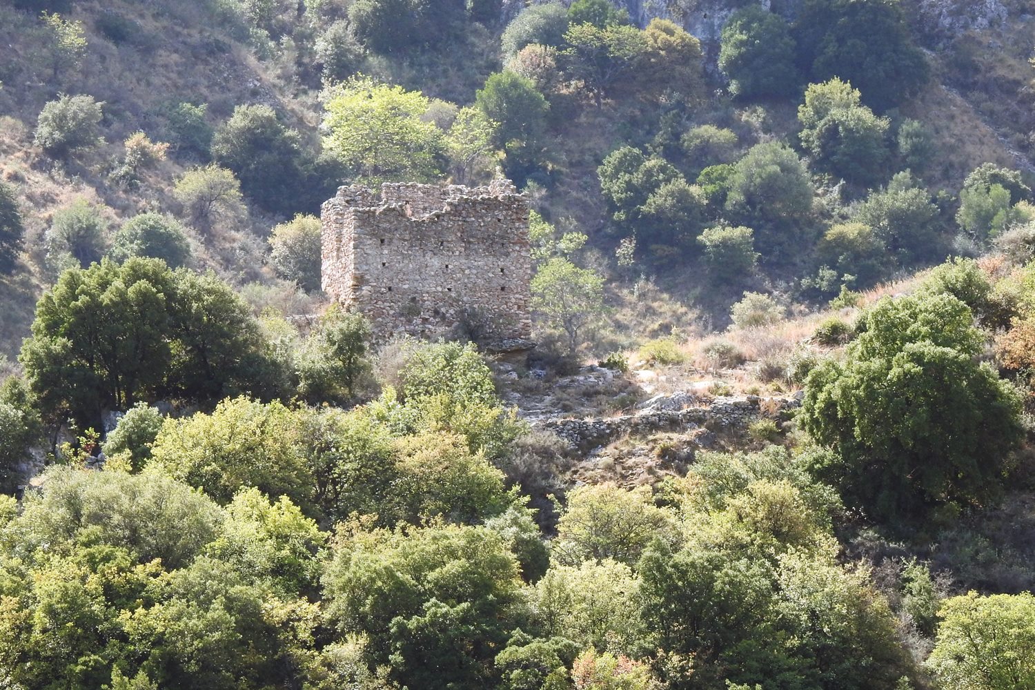 Πύργος Σοχάς