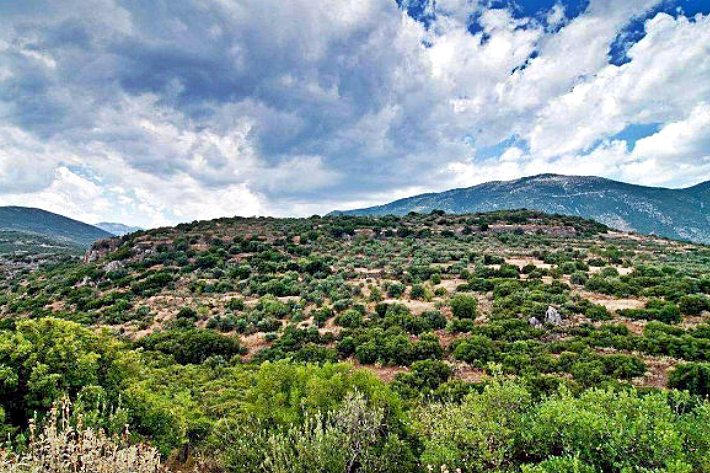 pics/steiri-hill.jpg steiri-hill