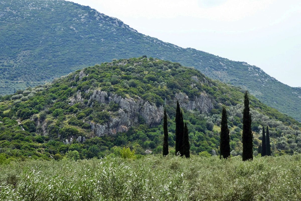 Castle of Steiri
