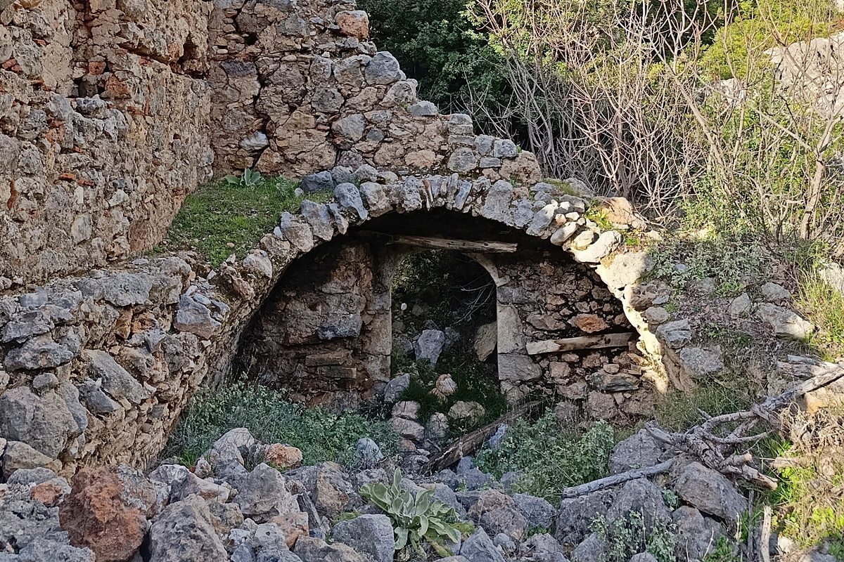syntzaf11