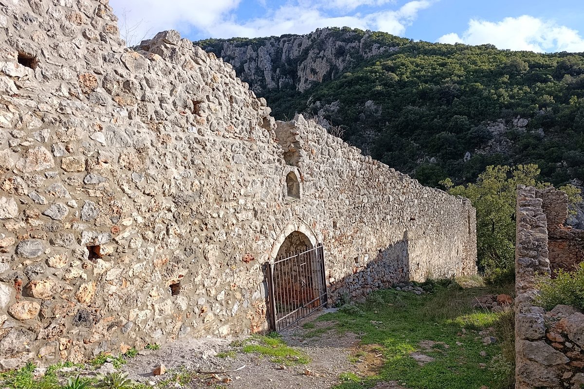 syntzaf12