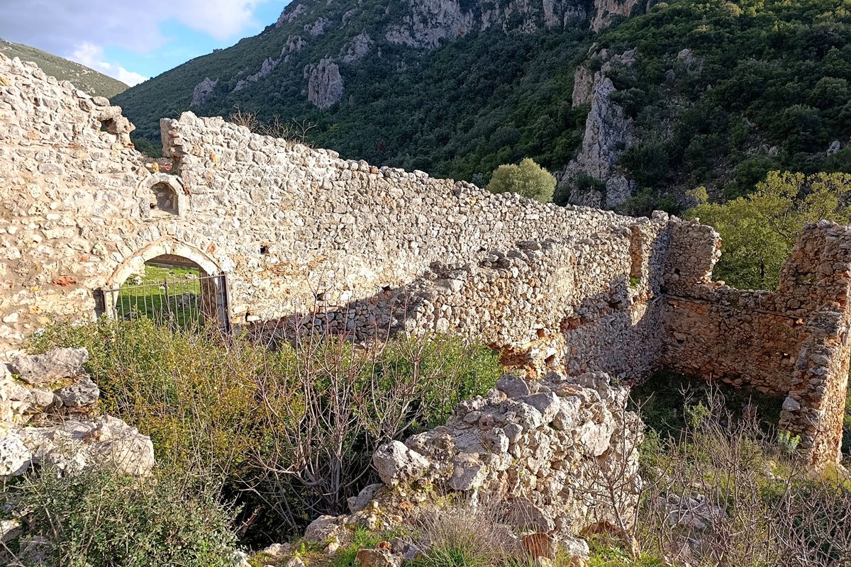 syntzaf13