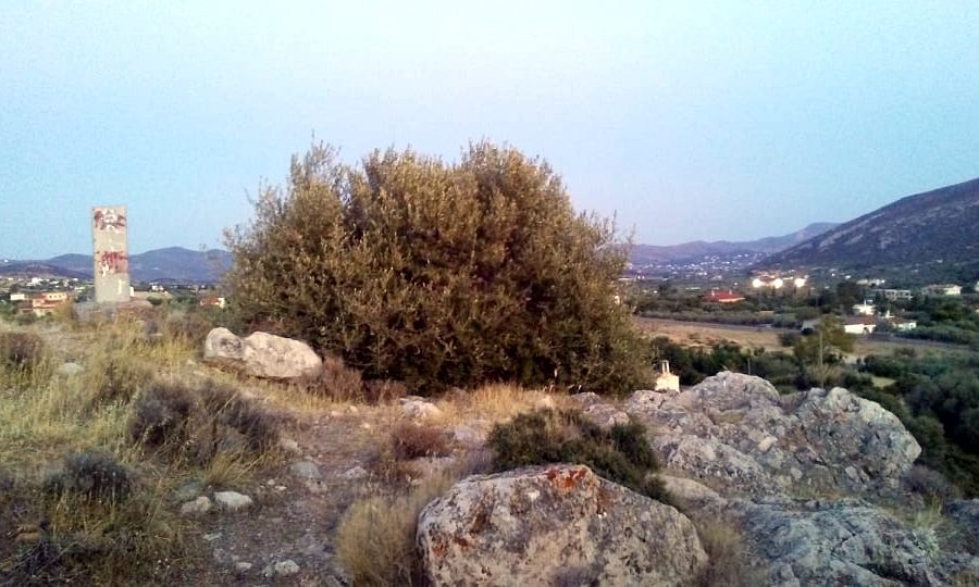 photo I.Dedes, July 2021