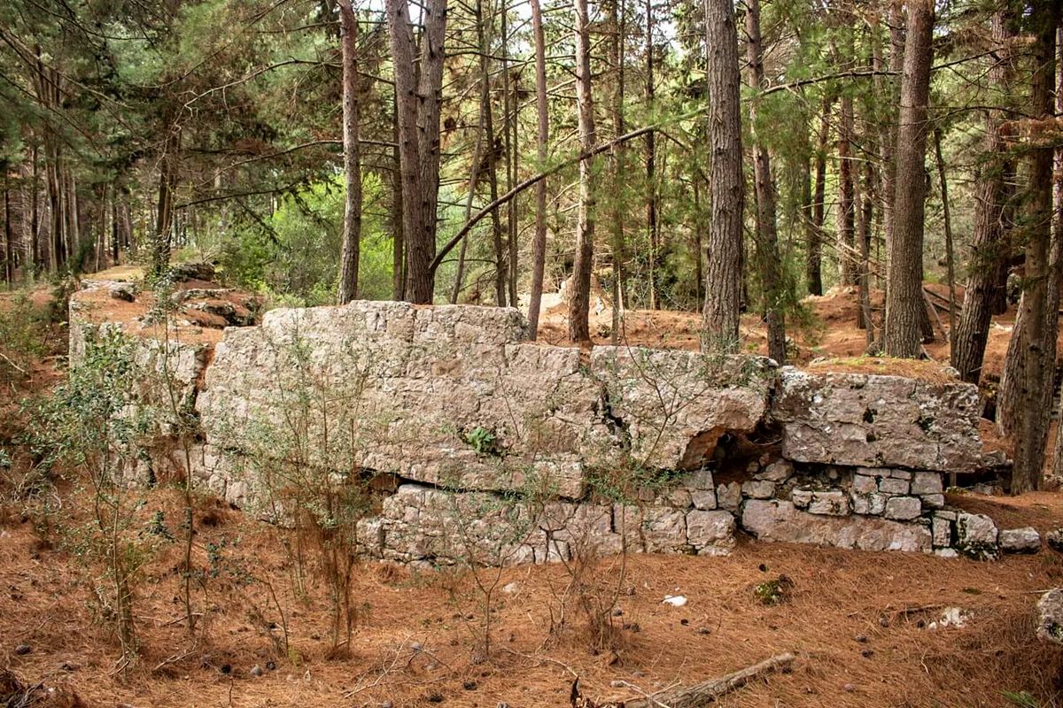 remains of the fort George