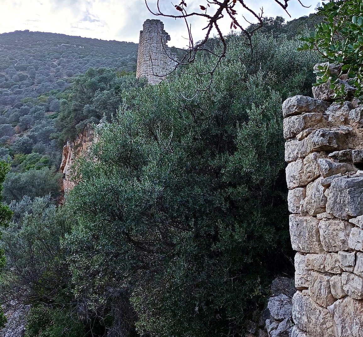 pics/voukalop8.jpg voukalop8