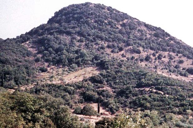 the hill of the castle