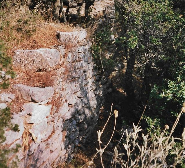 xalvats9