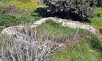 Tower of Stomio in Kallikrateia