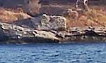 Fortification of Soupia